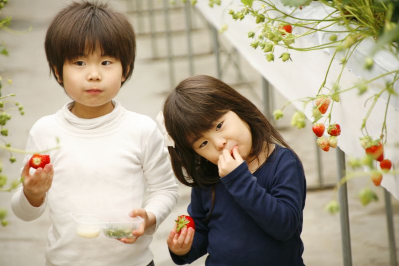 vì sao thực phẩm hữu cơ được ủng hộ vì sao thực phẩm hữu cơ được ủng hộ